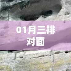 根据您的需求，以下是一个符合要求的标题，，一月三排对面，精彩瞬间不容错过。