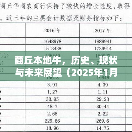 商丘牛业，历史传承、现状解析与未来展望