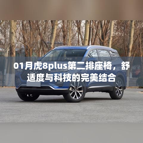 01月虎8plus第二排座椅，舒适度与科技的融合体验