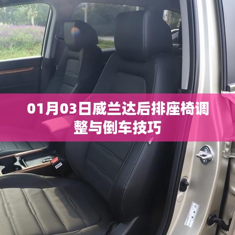 坌鸟先飞 第5页