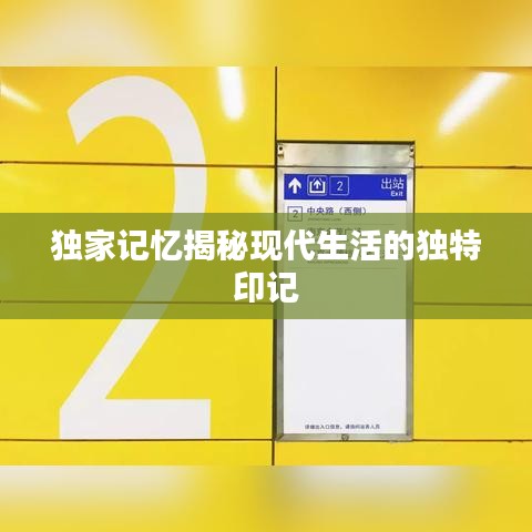 独家记忆揭秘现代生活的独特印记