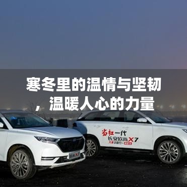 寒冬里的温情与坚韧，温暖人心的力量