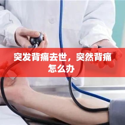 突发背痛去世，突然背痛怎么办 