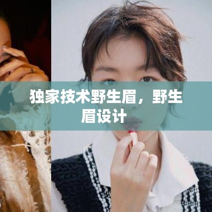 独家技术野生眉，野生眉设计 