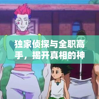 独家侦探与全职高手，揭开真相的神秘面纱