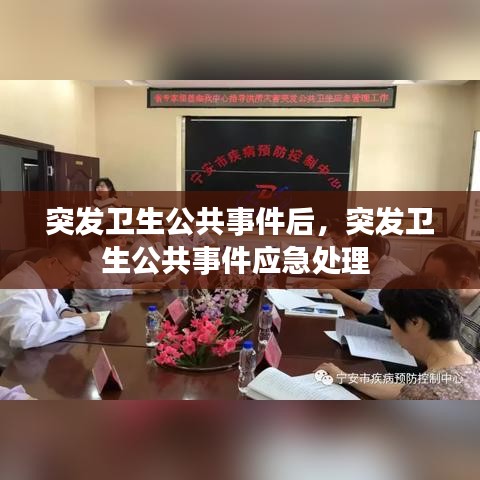 突发卫生公共事件后，突发卫生公共事件应急处理 