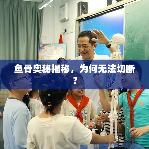 鱼骨奥秘揭秘，为何无法切断？