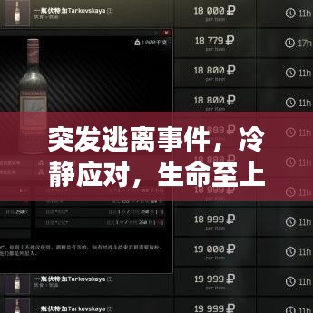 突发逃离事件，冷静应对，生命至上，危机时刻的正确选择