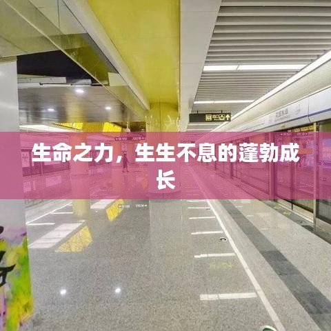 生命之力，生生不息的蓬勃成长