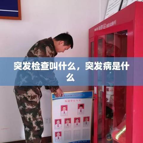 突发检查叫什么，突发病是什么 