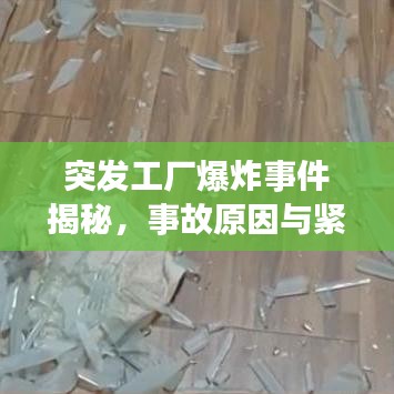 突发工厂爆炸事件揭秘，事故原因与紧急应对措施详解