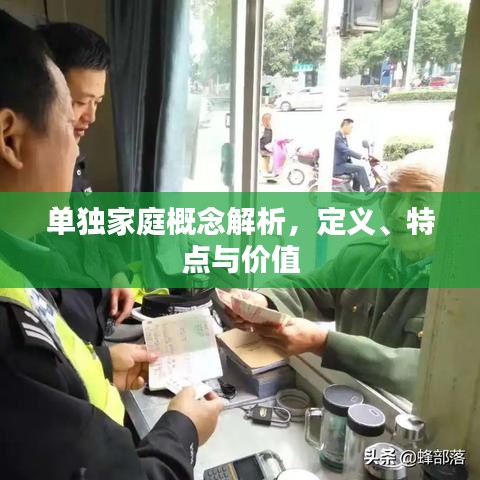 单独家庭概念解析，定义、特点与价值