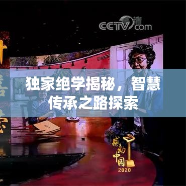 独家绝学揭秘，智慧传承之路探索