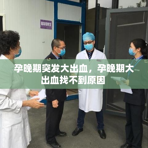 产品中心 第623页