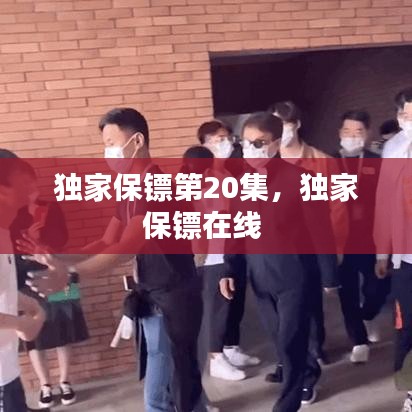 独家保镖第20集，独家保镖在线 