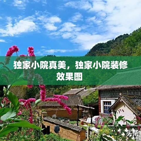 独家小院真美，独家小院装修效果图 