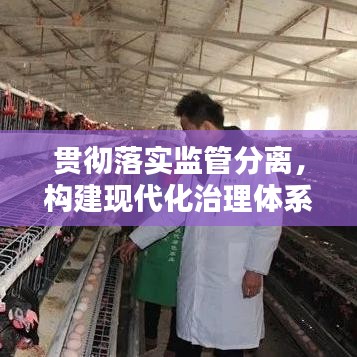 贯彻落实监管分离，构建现代化治理体系的必经之路