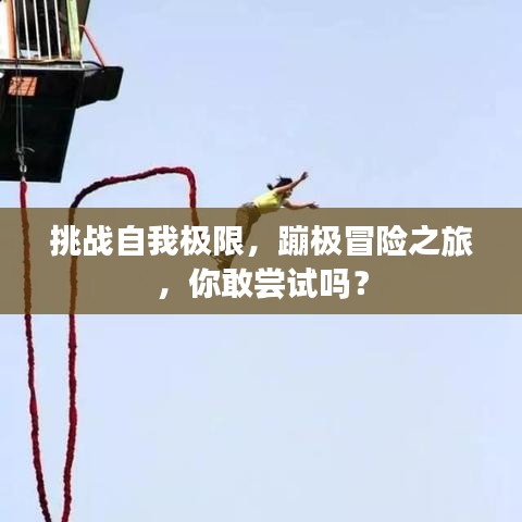 挑战自我极限，蹦极冒险之旅，你敢尝试吗？