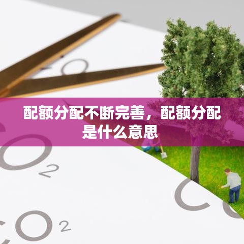 配额分配不断完善，配额分配是什么意思 