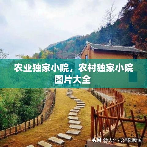 农业独家小院，农村独家小院图片大全 