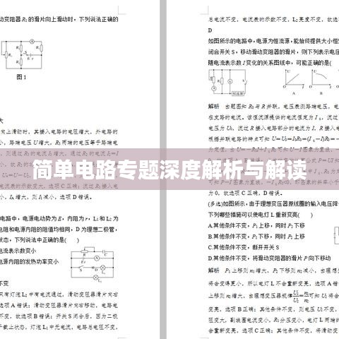 简单电路专题深度解析与解读