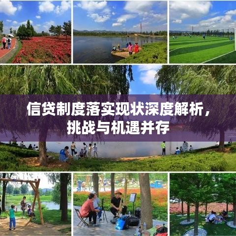 信贷制度落实现状深度解析，挑战与机遇并存