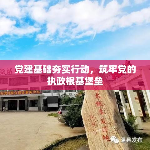党建基础夯实行动，筑牢党的执政根基堡垒