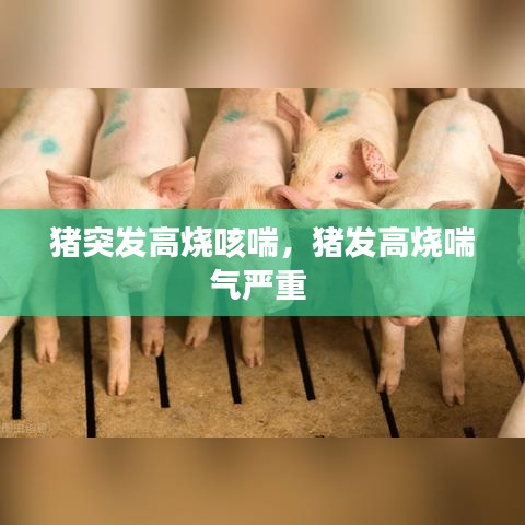 质量承诺 第104页