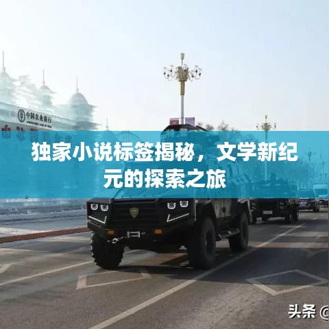 独家小说标签揭秘，文学新纪元的探索之旅