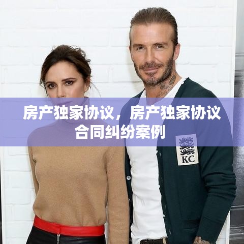 房产独家协议，房产独家协议合同纠纷案例 