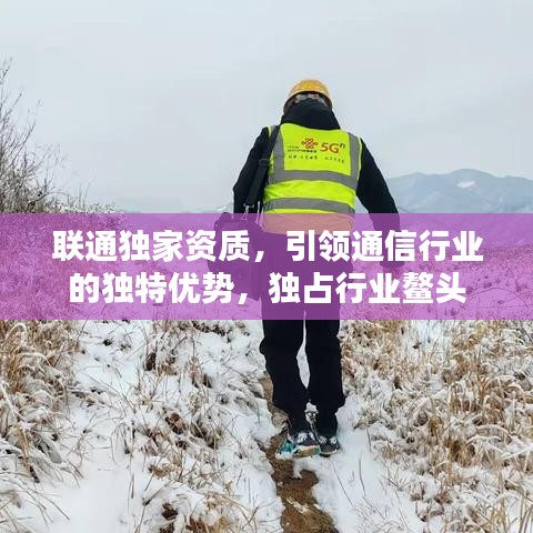 联通独家资质，引领通信行业的独特优势，独占行业鳌头