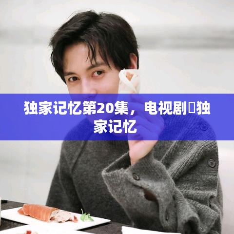 独家记忆第20集，电视剧巜独家记忆 