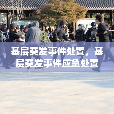 基层突发事件处置，基层突发事件应急处置方法 