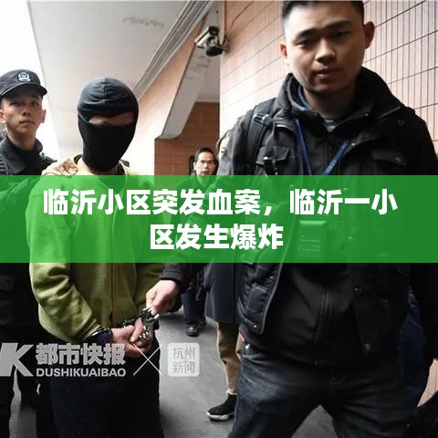 临沂小区突发血案，临沂一小区发生爆炸 