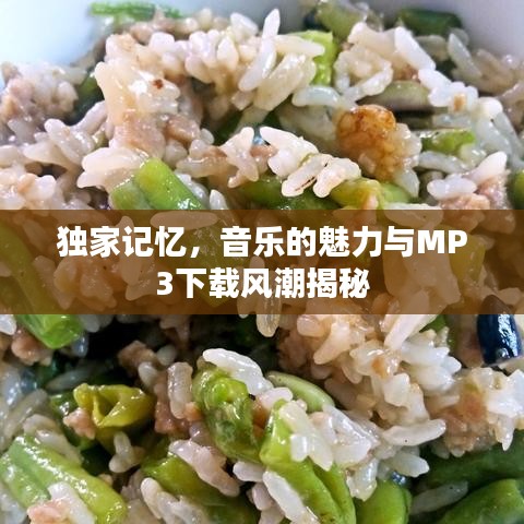美式台球桌 第105页