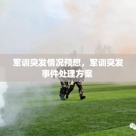 军训突发情况预想，军训突发事件处理方案 