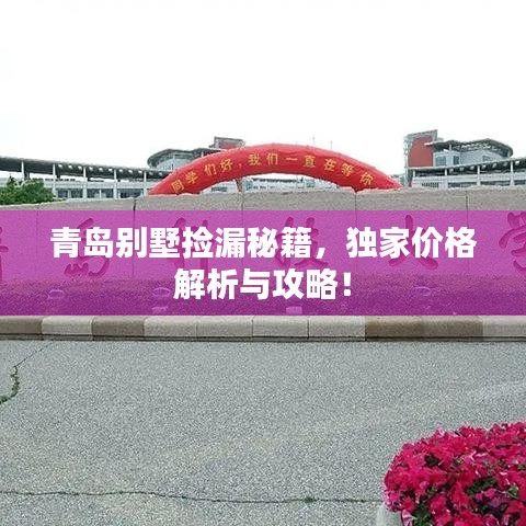 青岛别墅捡漏秘籍，独家价格解析与攻略！
