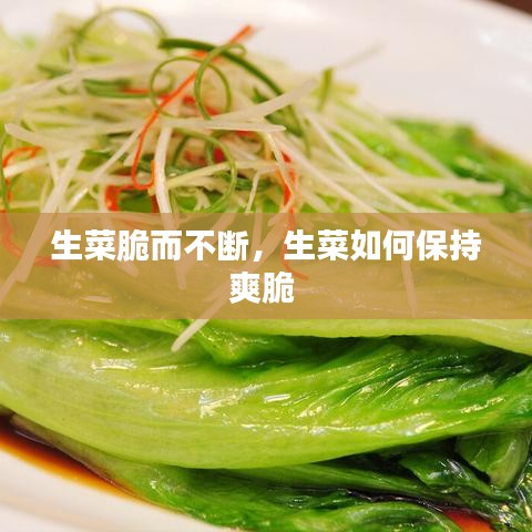 生菜脆而不断，生菜如何保持爽脆 