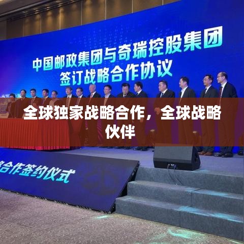 全球独家战略合作，全球战略伙伴 
