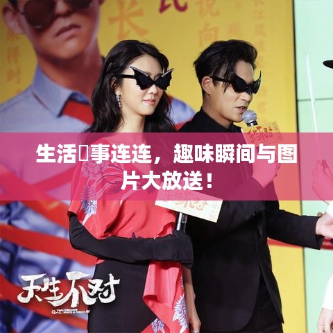 生活囧事连连，趣味瞬间与图片大放送！