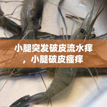 小腿突发破皮流水痒，小腿破皮瘙痒 