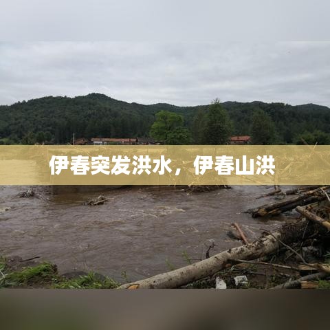 伊春突发洪水，伊春山洪 