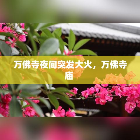 万佛寺夜间突发大火，万佛寺庙 
