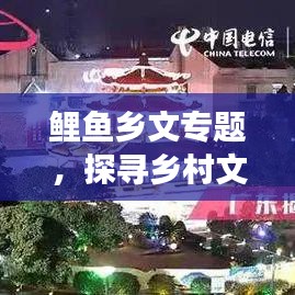鲤鱼乡文专题，探寻乡村文化魅力，传统与现代交融之旅