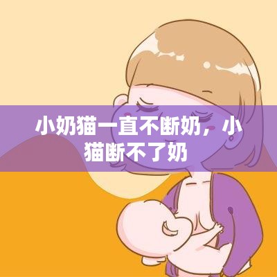 美式台球桌 第104页