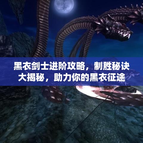 黑衣剑士进阶攻略，制胜秘诀大揭秘，助力你的黑衣征途