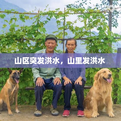 山区突发洪水，山里发洪水 