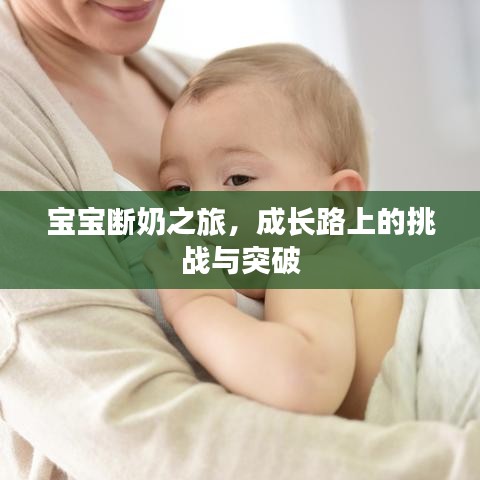 宝宝断奶之旅，成长路上的挑战与突破