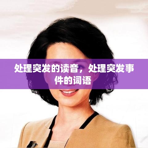 处理突发的读音，处理突发事件的词语 