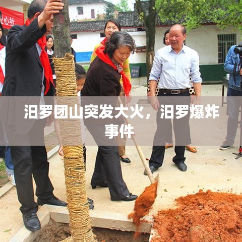 汨罗团山突发大火，汨罗爆炸事件 